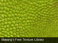Mayang's Free Texture Library